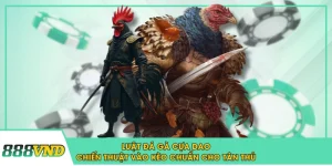 Luật Đá Gà Cựa Dao & Chiến Thuật Vào Kèo Chuẩn Cho Tân Thủ